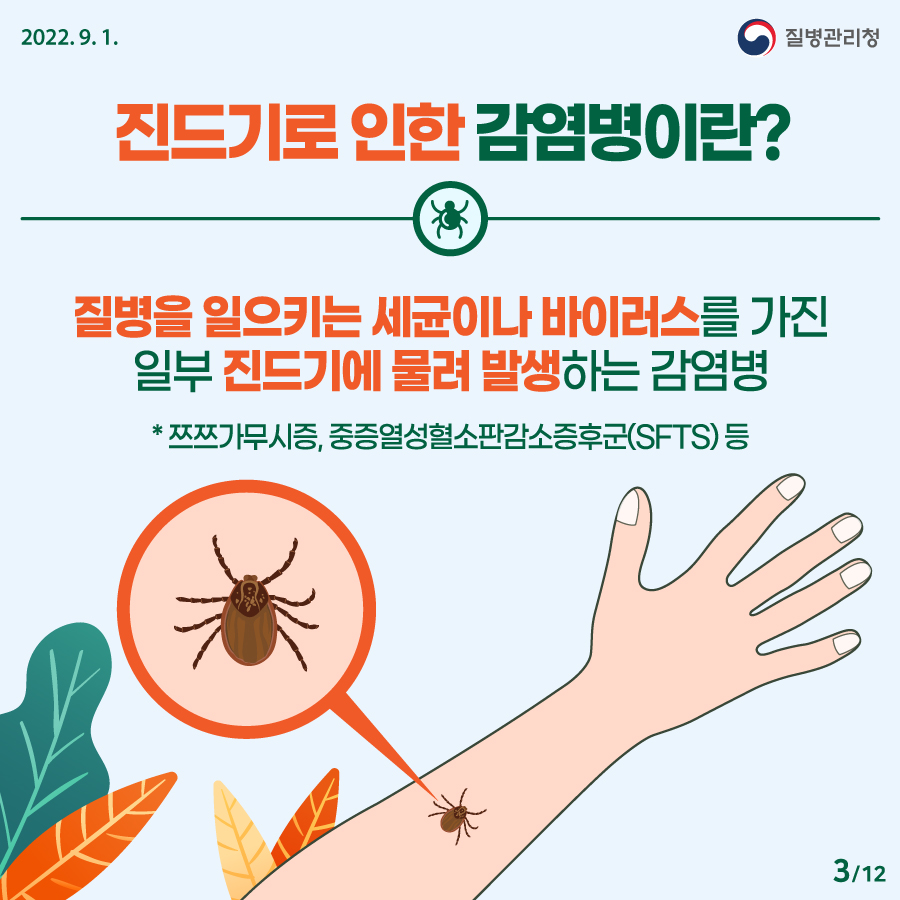 2202년 9월 1일. 질병관리청. 진드기로 인한 감염병이란? 질병을 일으키는 세균이나 바이러스를 가진 일부 진드기에 물려 발생하는 감염병. * 쯔쯔가무시증, 중증열성혈소판감소증후군(SFTS) 등 12페이지 중 3페이지